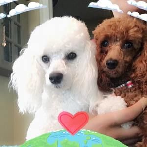 Meet your Posher, Lana